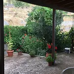 Angel Tseria