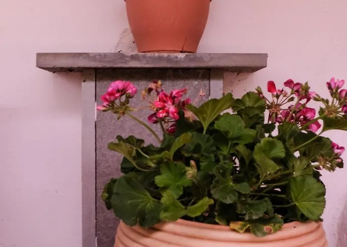 Angel Σπίτι διακοπών *